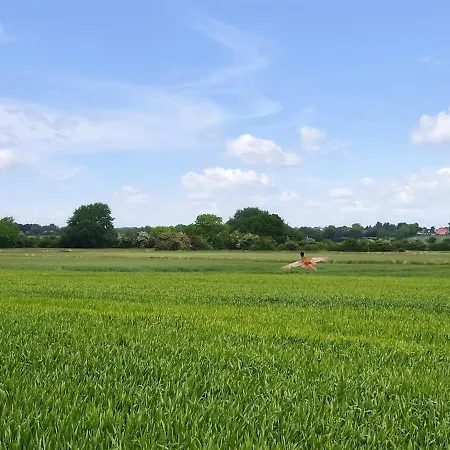 Holiday Inola - 500m From The Sea In Se Jutland By Interhome Hotel 3*